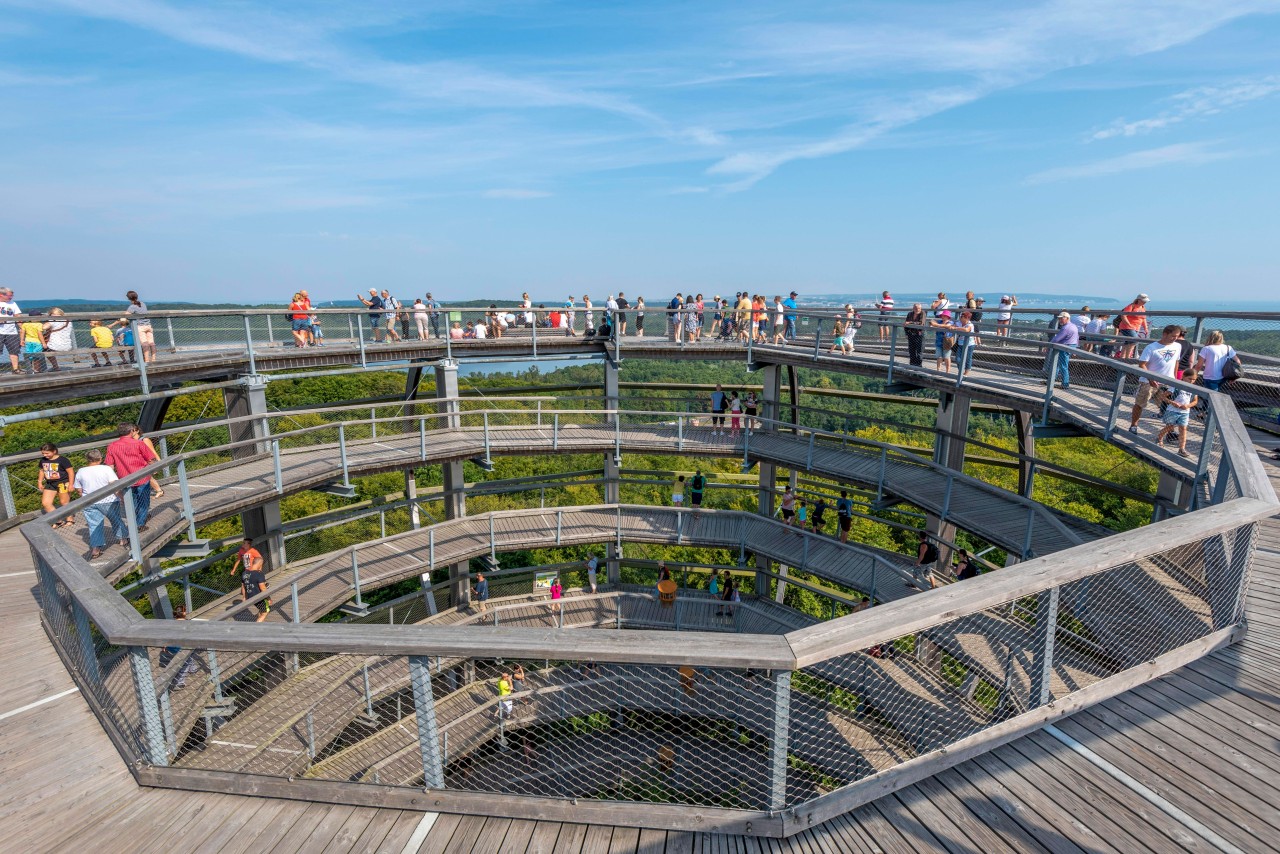 Urlaub an der Ostsee: Auf der Insel Rügen gehört der Baumwipfelpfad zu den beliebten Touristen-Attraktionen. (Symbolbild)