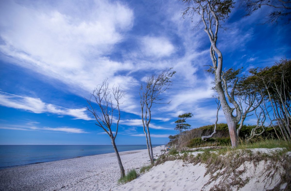 Ostsee urlaub an der