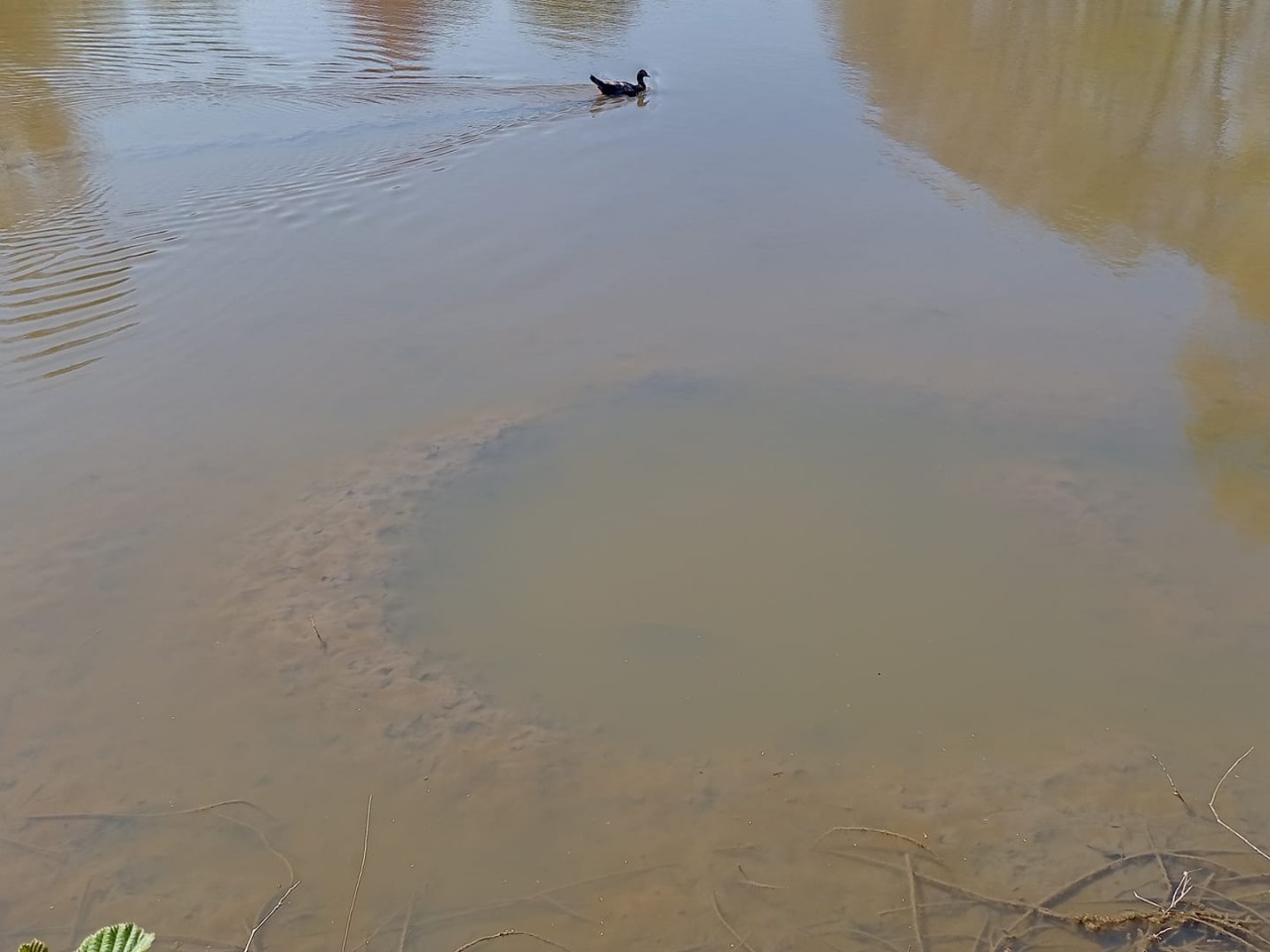 Das zweite Loch im Castroper Stadtgarten.