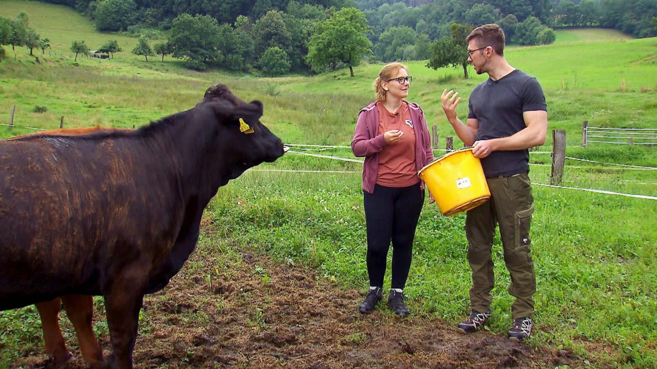 Sabrina scheut sich nicht davor, Nils bei den Kühen zu helfen.