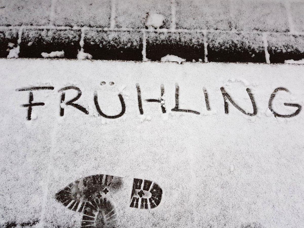 Schnee Frühling Frühlingsanfang.jpeg