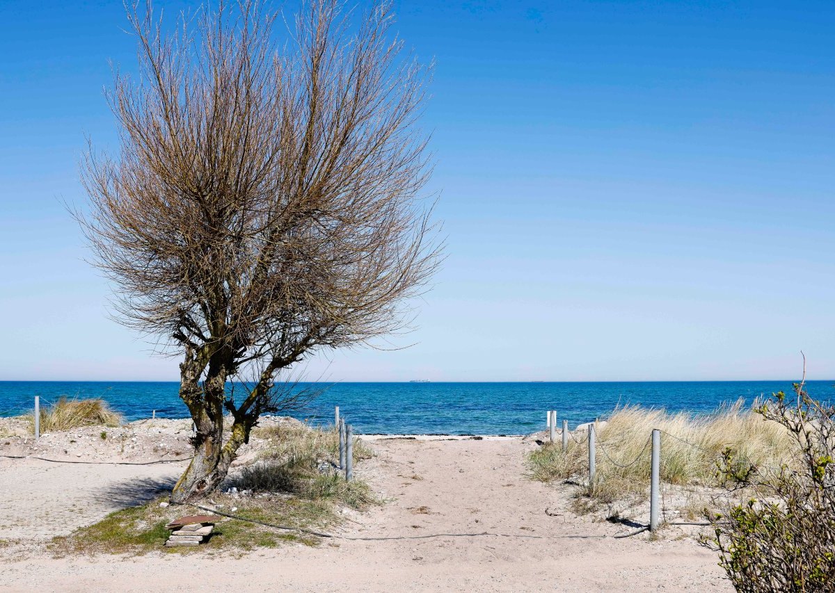 Strand Fehmarn