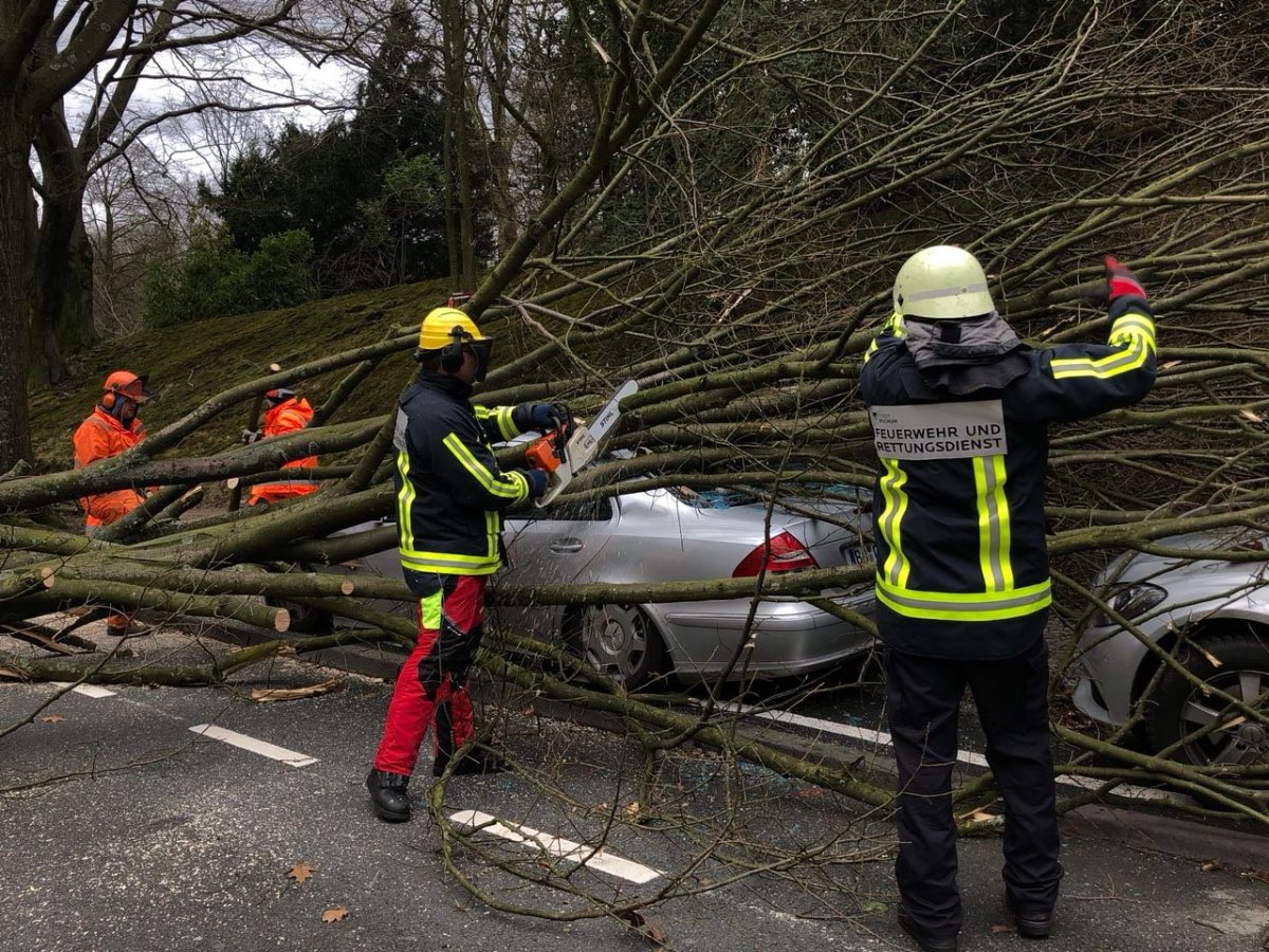 Sturm Friederike Bochum Feuerwehr Baum Auto.jpg