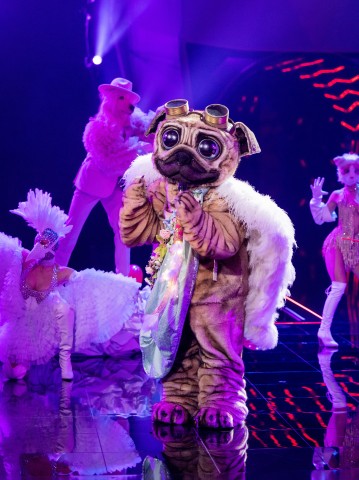 „Der Mops” ist einer der Kandidaten in der ProSieben-Show „The Masked Singer“