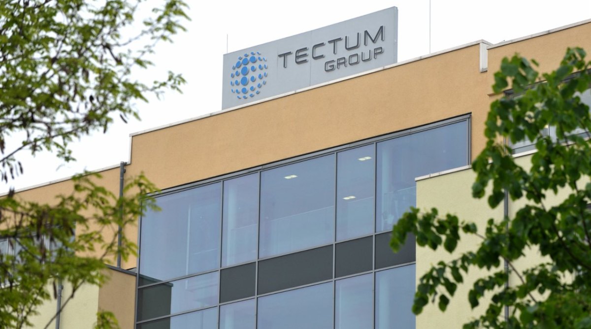 Tectum.jpg