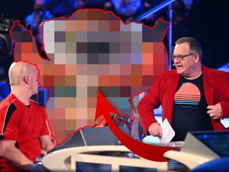 The Masked Singer enthüllt.jpg
