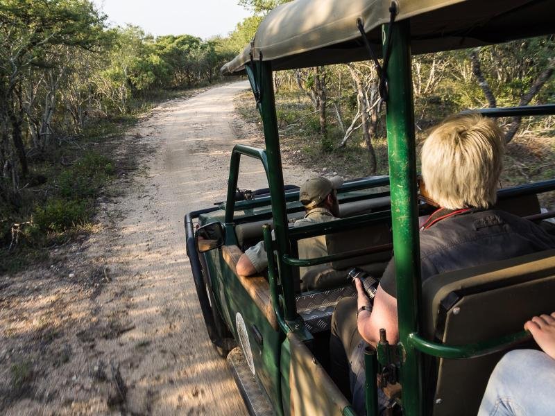 Touristen fahren durch den Krüger-Nationalpark. Der weltberühmte Krüger-Park wird in den nächsten Jahren saniert.