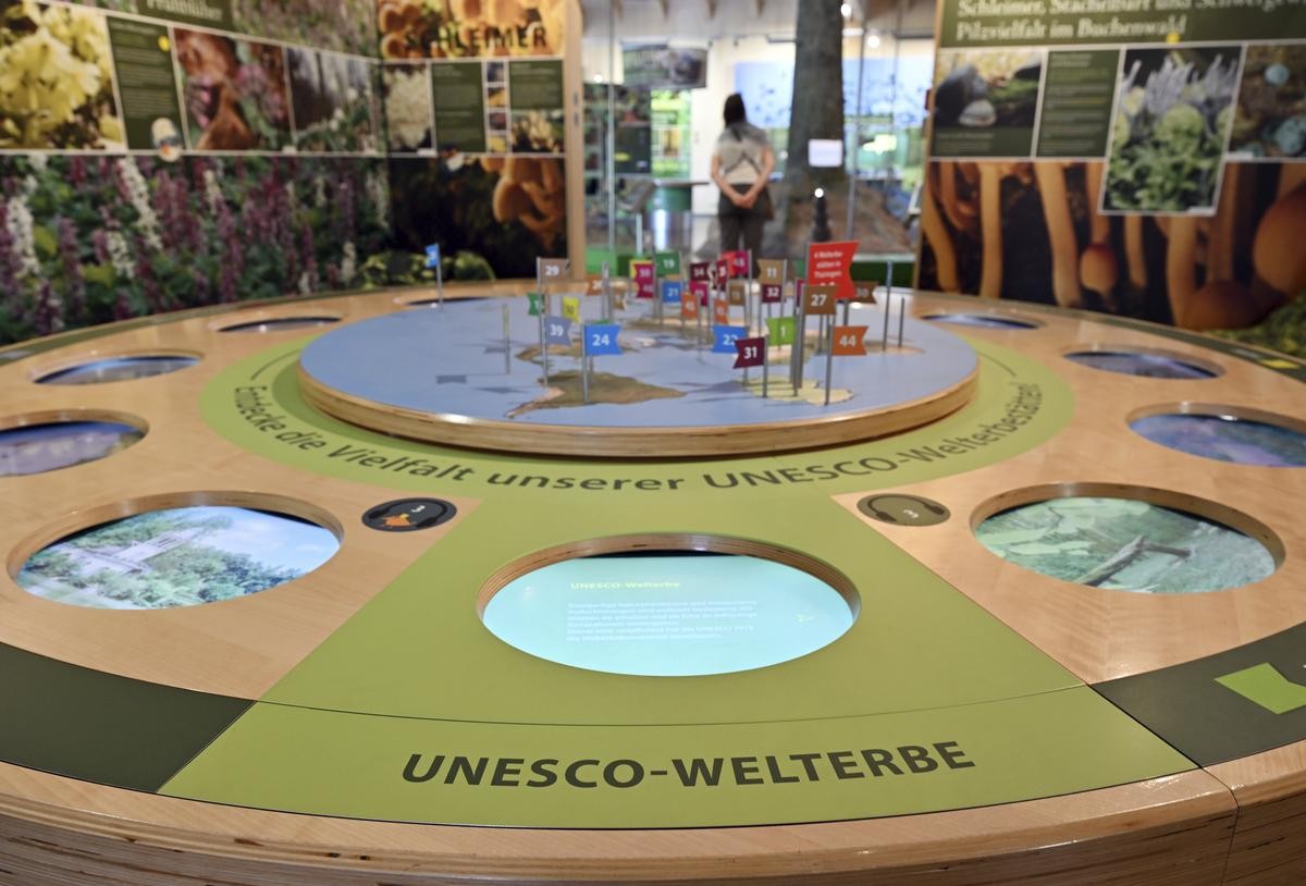  "Unesco-Welterbe" steht an einer Informationsstation im Ausstellungsbereich des Nationalparks Hainich unweit von Bad Langensalza. Der Nationalpark gehört seit 2011 zur Welterbestätte "Buchenurwälder der Karpaten und alte Buchenwälder Deutschlands". Die Jahrestagung der Unesco-Welterbestätten in Deutschland steht in diesem Jahr unter dem Thema "Welterbe: Wertschätzung - Wertschöpfung · Werterhalt". Sie beginnt am 17. Mai in Bad Langensalza. Im Rahmen der Fachtagung kommen rund 100 Vertreterinnen und Vertreter der 51 Unesco-Welterbestätten in Deutschland zusammen und tauschen sich aus. 