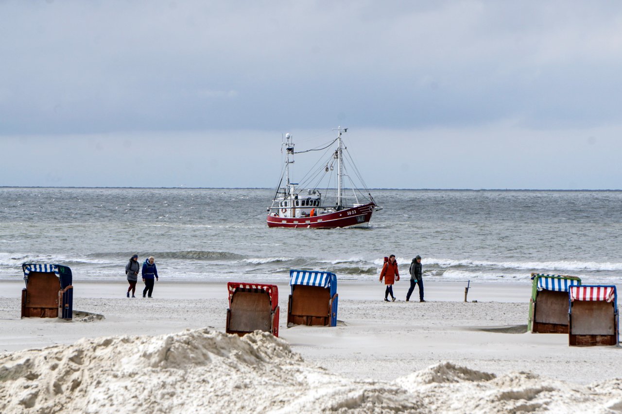 Urlaub an der Nordsee Schäferin will zu ihren Tieren gehen und erlebt dann DAS DerWesten de