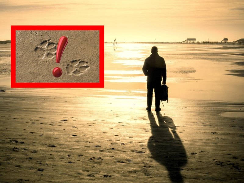 Urlaub an der Nordsee.jpg