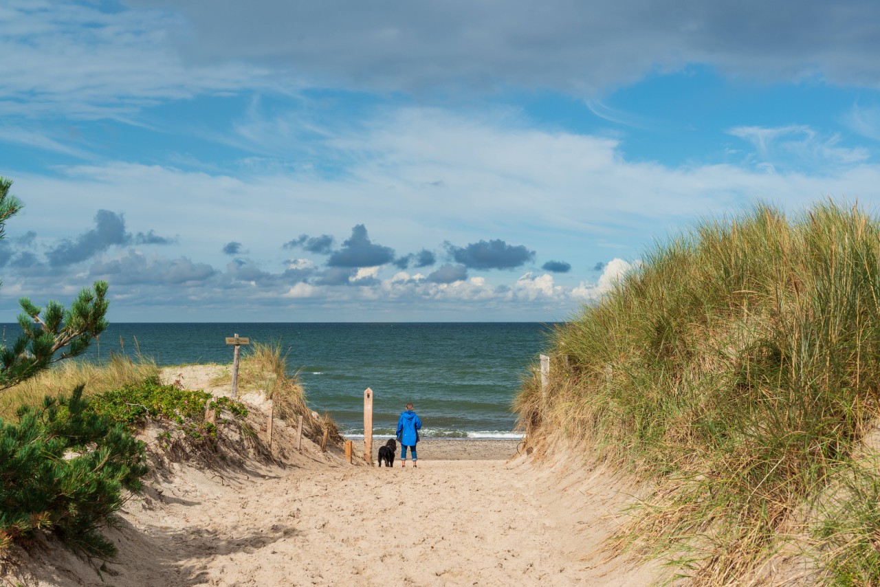 Auch wenn die Menschen gerade keinen Urlaub an der Ostsee machen können, gibt es Ärger auf einer Insel (Symbobild).