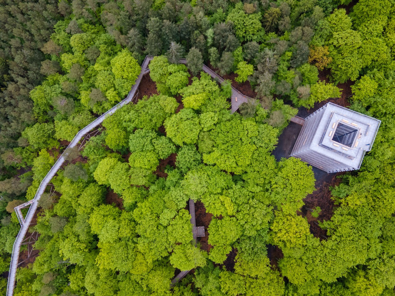 Urlaub an der Ostsee: Das Highlight des Baumwipfelpfads in Heringsdorf ist der Aussichtsturm.