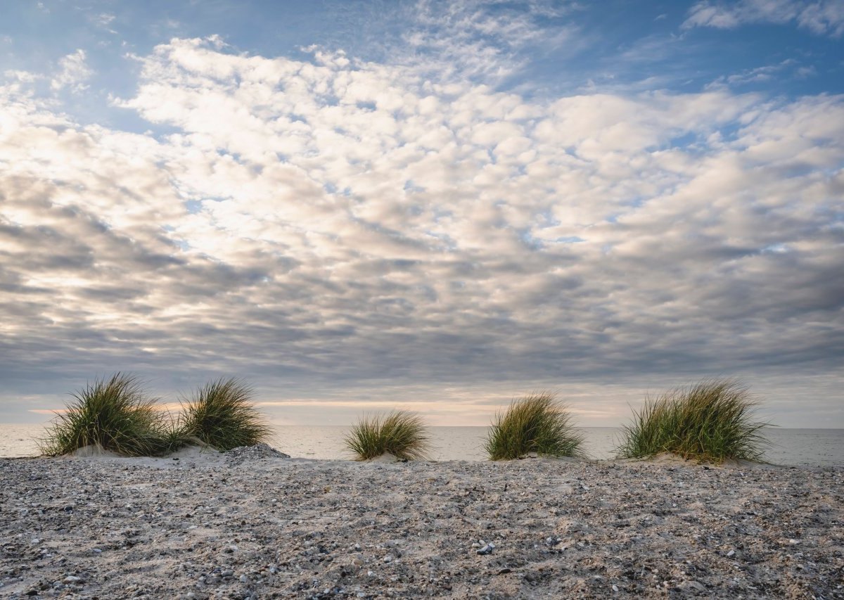 Urlaub an der Ostsee.jpg