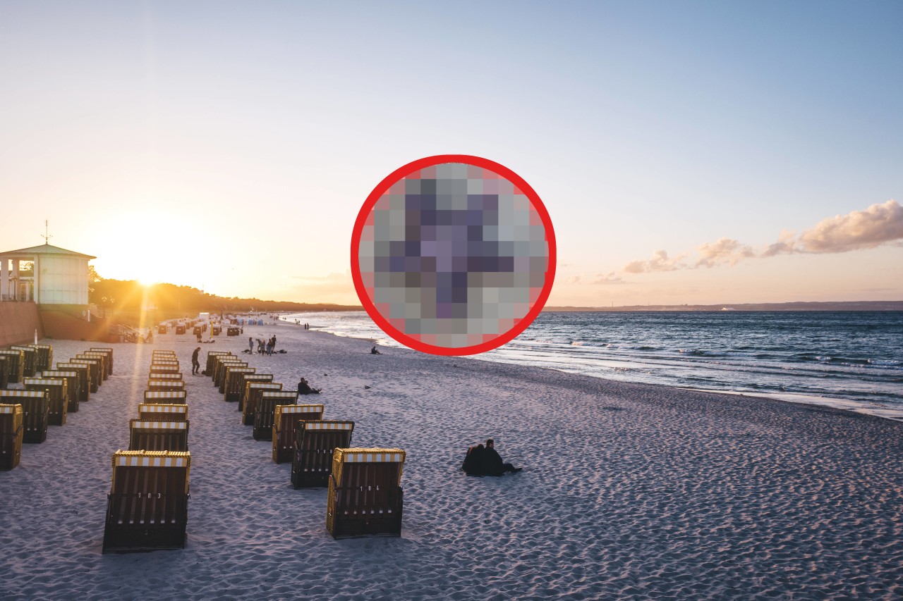 Urlaub an der Ostsee: Eigentlich wollte sie nur Fotos machen, doch dann machte eine Frau einen traurigen Fund. 