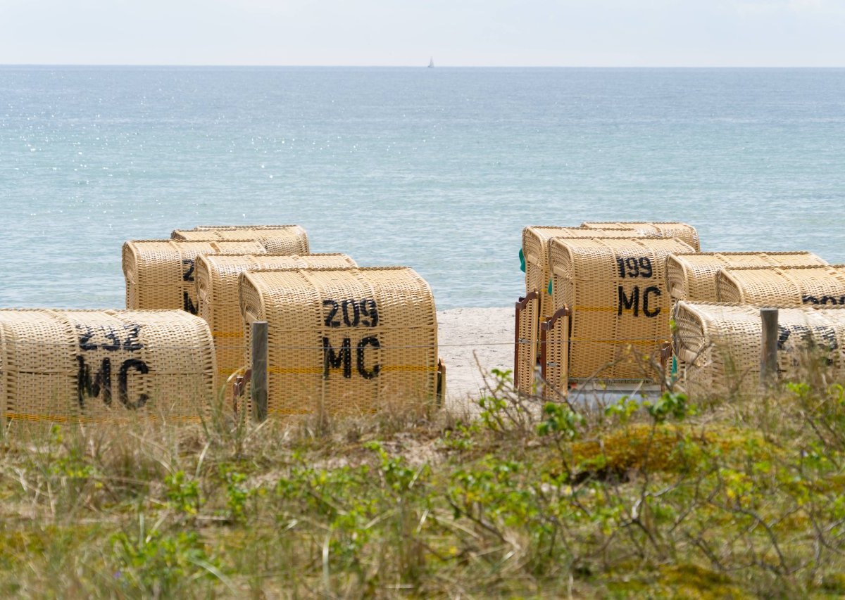 Urlaub an der Ostsee: Was Menschen hier machen, ist zwar nett gemeint, nervt aber tierisch