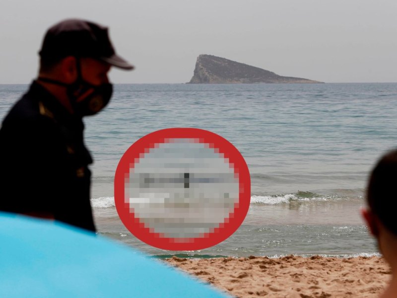 Urlaub auf Mallorca Hai-alarm.jpg