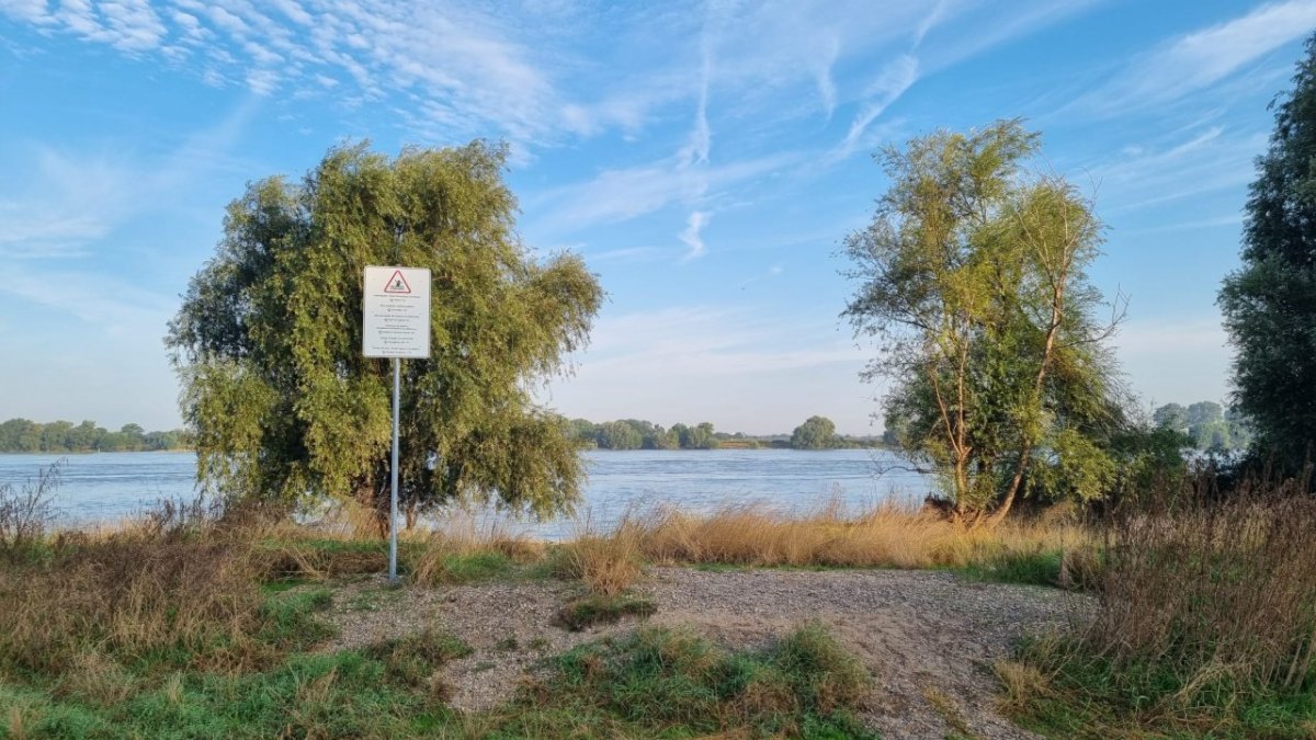 Warnschild am Rhein.jpg