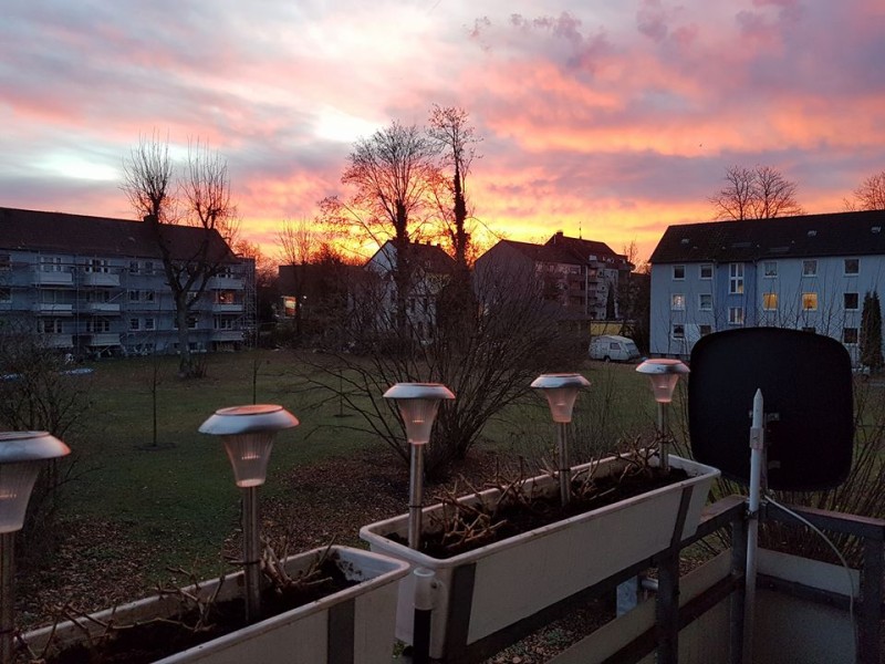 Wenn die Sonne in Altenessen aufgeht, dann sieht das so aus.