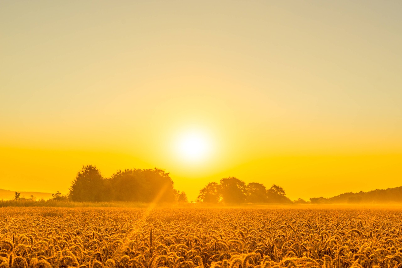 Der Sommer war eher trüb und kühl. Könnte uns der Herbst endlich das Wetter vergolden? (Symbolfoto)