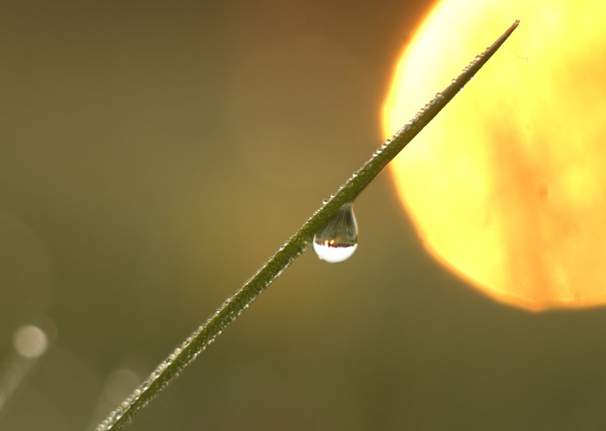 Wetter.jpg