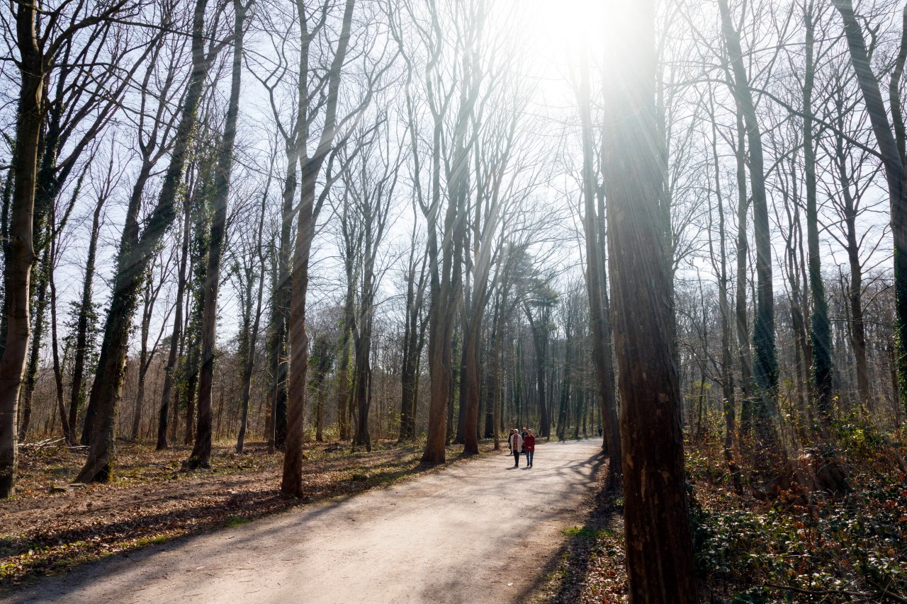 Wetter in NRW: Sonne satt! Doch das birgt auch Gefahren. (Symbolbild)