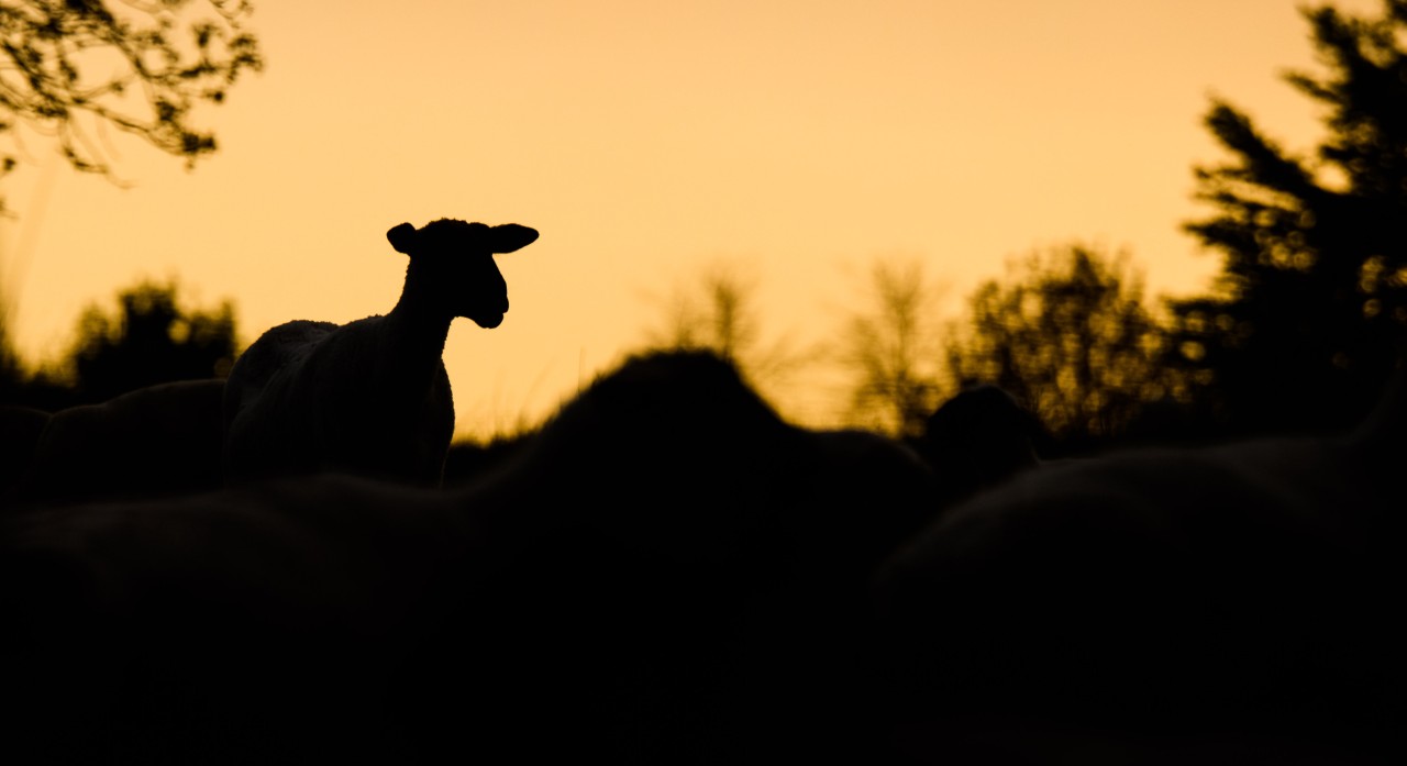 Das Wetter in NRW steht kurz vor einem kräftigen Umschwung. (Symbolbild)