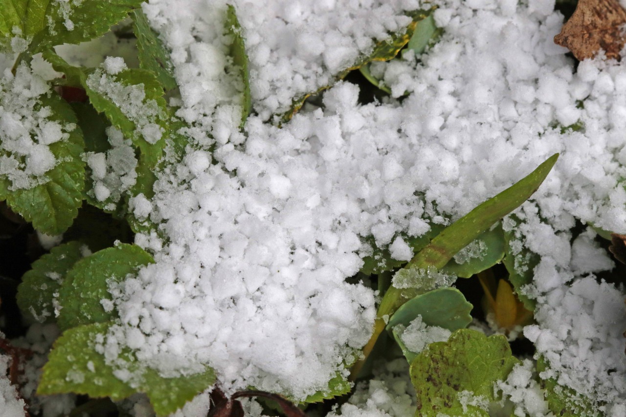 Wetter in Deutschland: Am kommenden Wochenende könnte es zu Schneefall kommen. (Symbolbild)