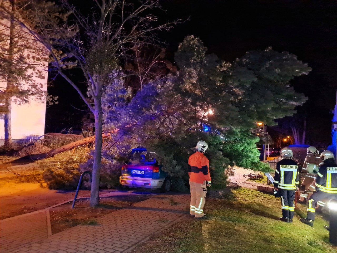 Wetter in Deutschland: In Berlin musste die Feuerwehr häufig ausrücken. Bäume fielen um. 