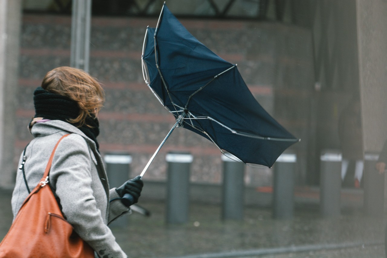 Der Deutsche Wetterdienst warnt erneut vor Windböen und Sturm. (Symbolbild)