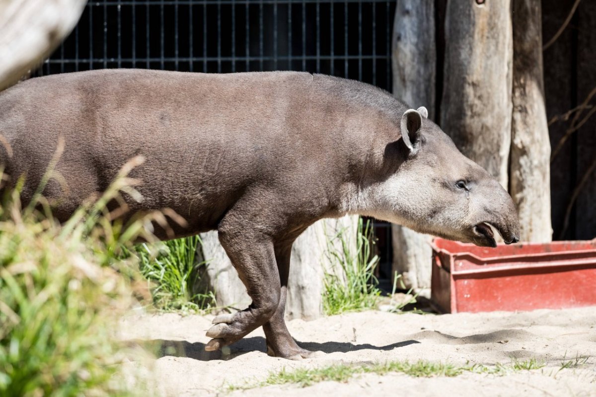 Zoo Dortmund