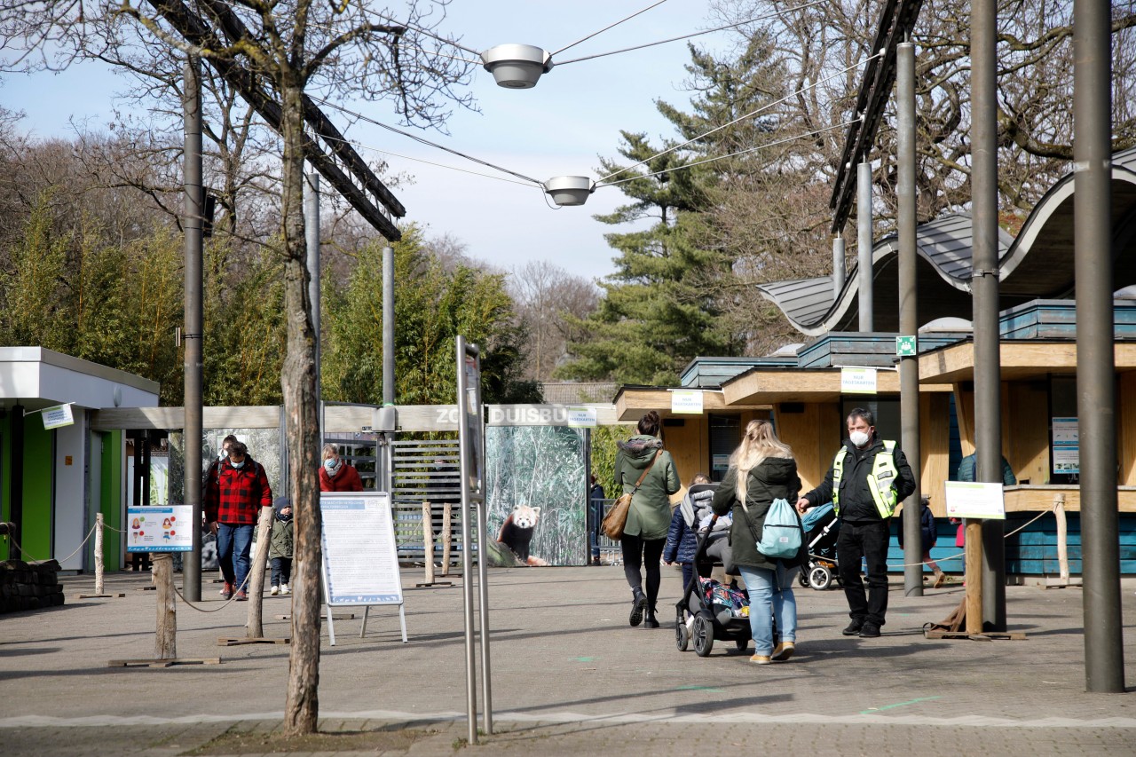 Zoo Duisburg: Einer Frau gefiel ein Facebook-Post überhaupt nicht. (Symbolbild)