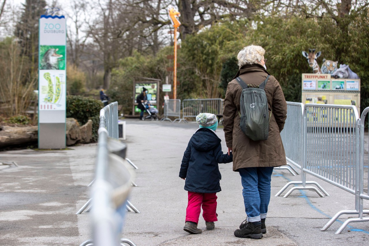 Der Zoo Duisburg wird um eine Attraktion reicher (Symbolfoto).