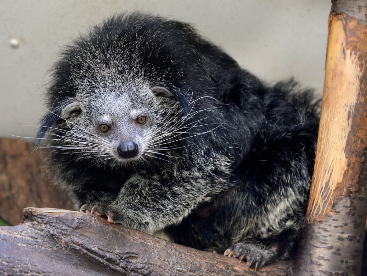 Zoo_Duisburg.JPG