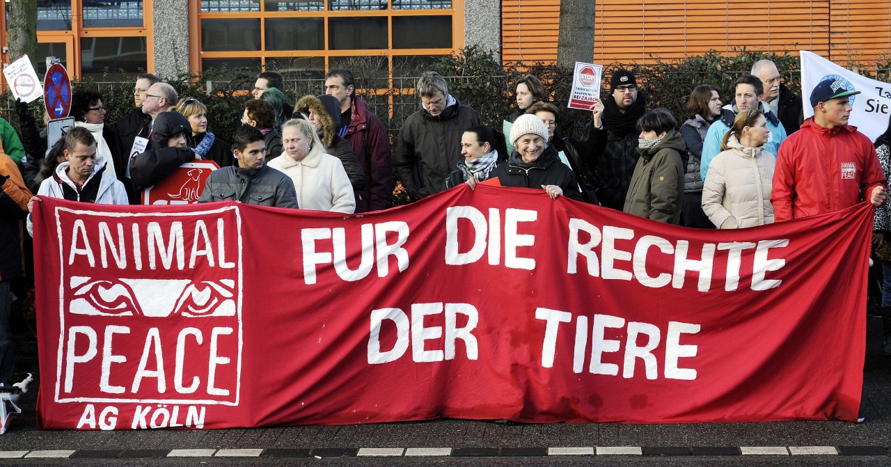 Tierschützer protestieren seit Jahren gegen den Verkauf von Hunden und Welpen in dem Zoogeschäft.