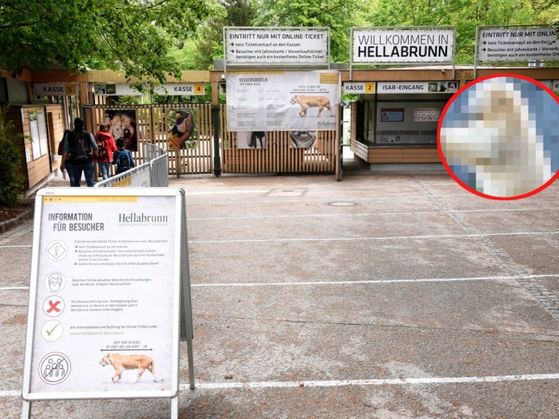 ZooMünchen.jpg