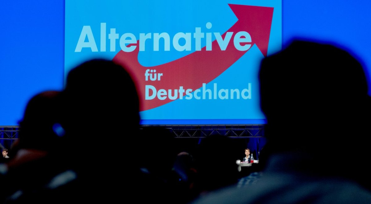 afd-flüchtlinge.jpg