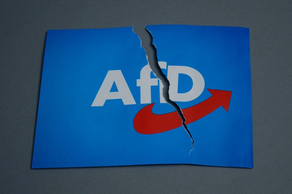 afd-logo-zerissen-schlechte-umfragewerte.jpg