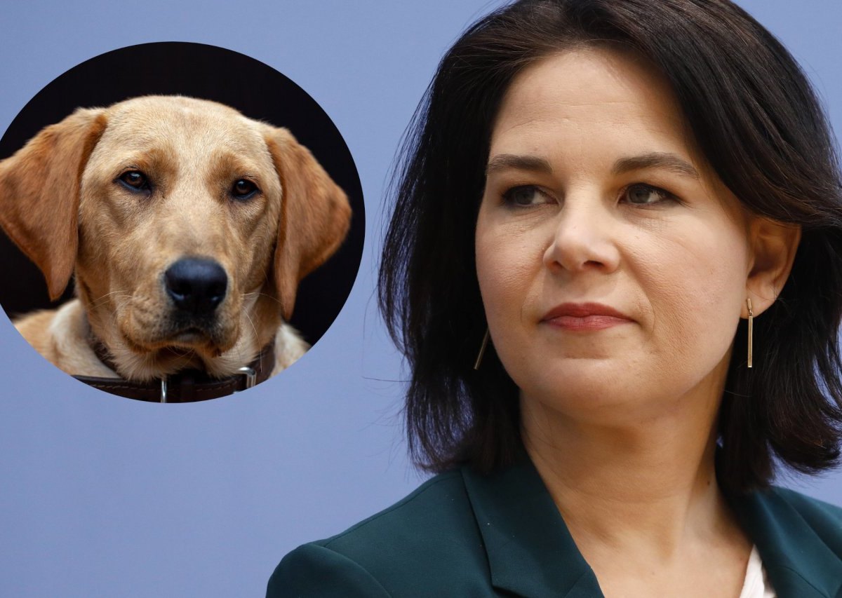 annalena Baerbock Hund2.jpg