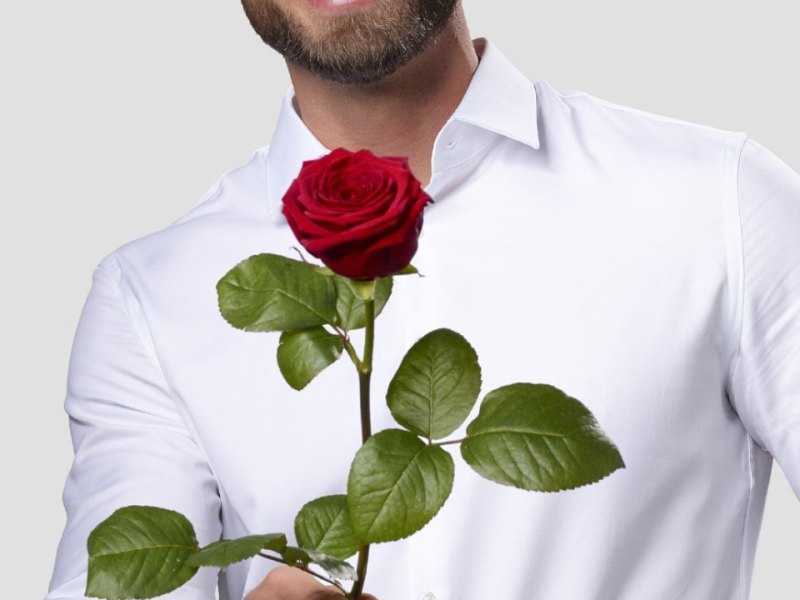 bachelor rtl.jpg