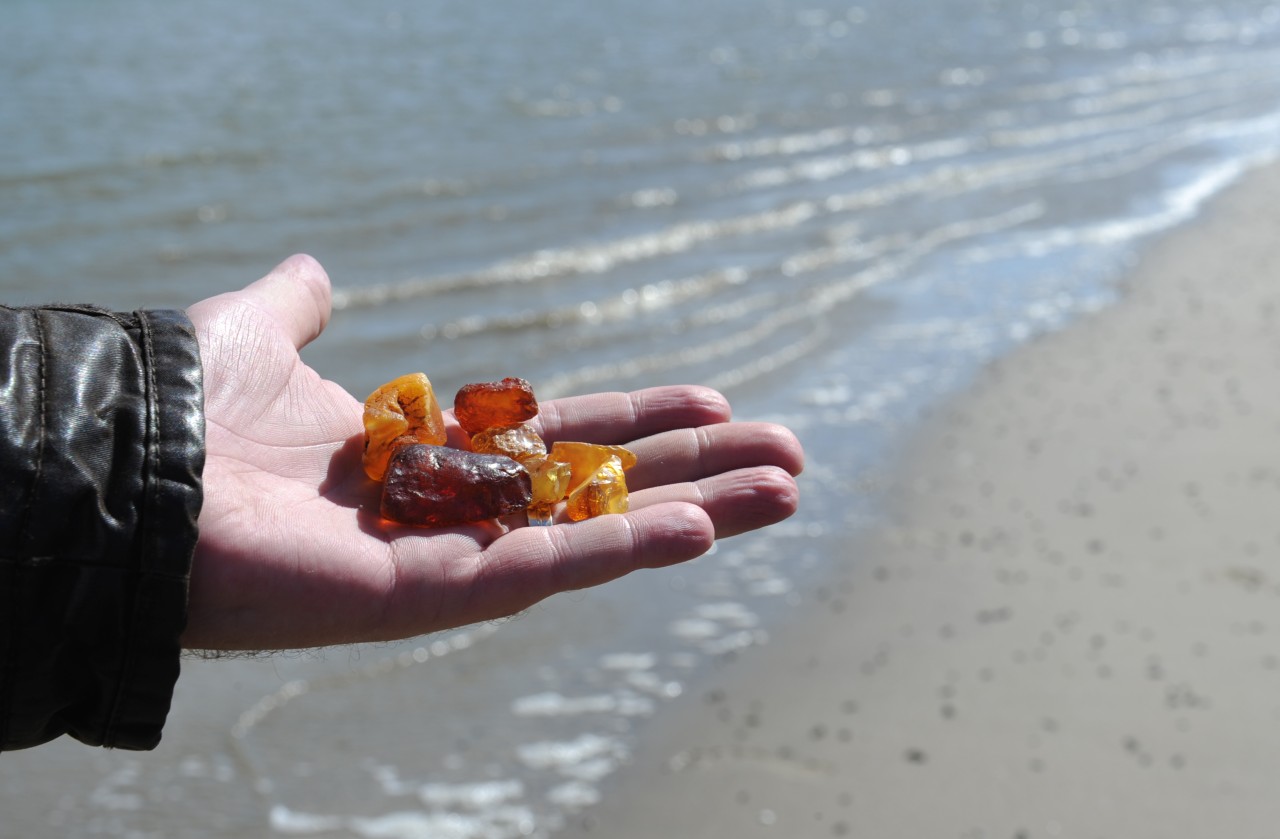 Viele Spaziergänger an Nord- und Ostsee freuen sich, wenn sie am Strand Bernstein finden. Manch ein Fund hat sich jedoch als gefährlicher Phosphor entpuppt. 