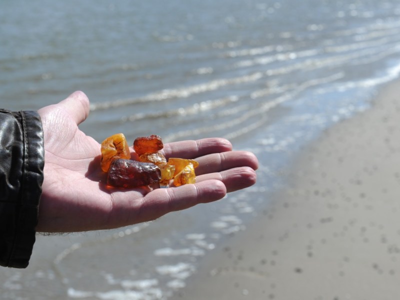 Viele Spaziergänger an Nord- und Ostsee freuen sich, wenn sie am Strand Bernstein finden. Manch ein Fund hat sich jedoch als gefährlicher Phosphor entpuppt.