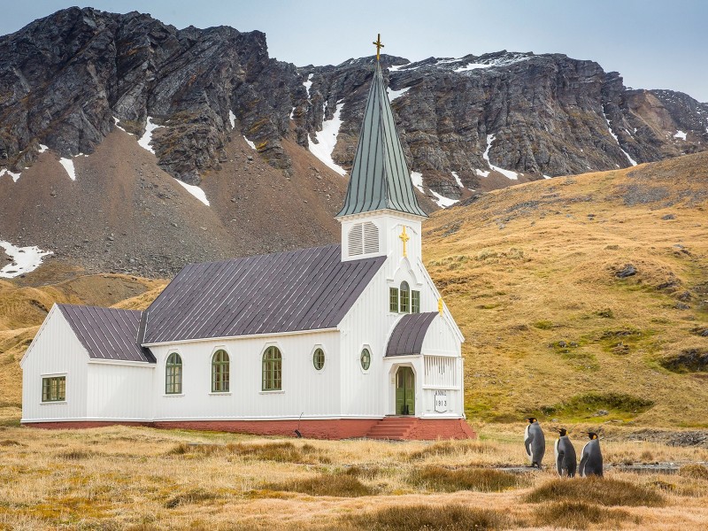 Als „hochgelobt“ wurden noch zehn weitere Bilder ausgezeichnet. Eines davon ist „All Dressed And Ready For Church“ – „Alle rausgeputzt und fertig für die Kirche“ – von Carl Henry aus Südgeorgien. Ein Halleluja für die drei Königspinguine.
