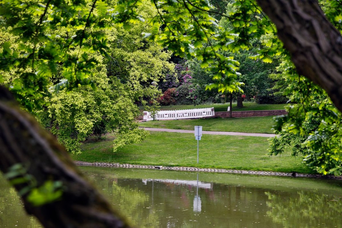 bochum-stadtpark.jpg