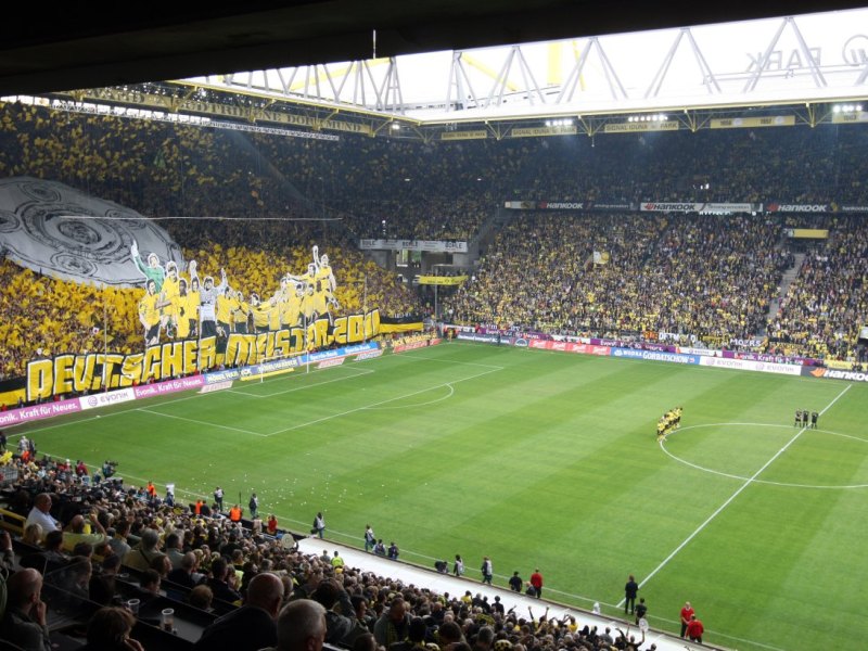 bvb.jpg
