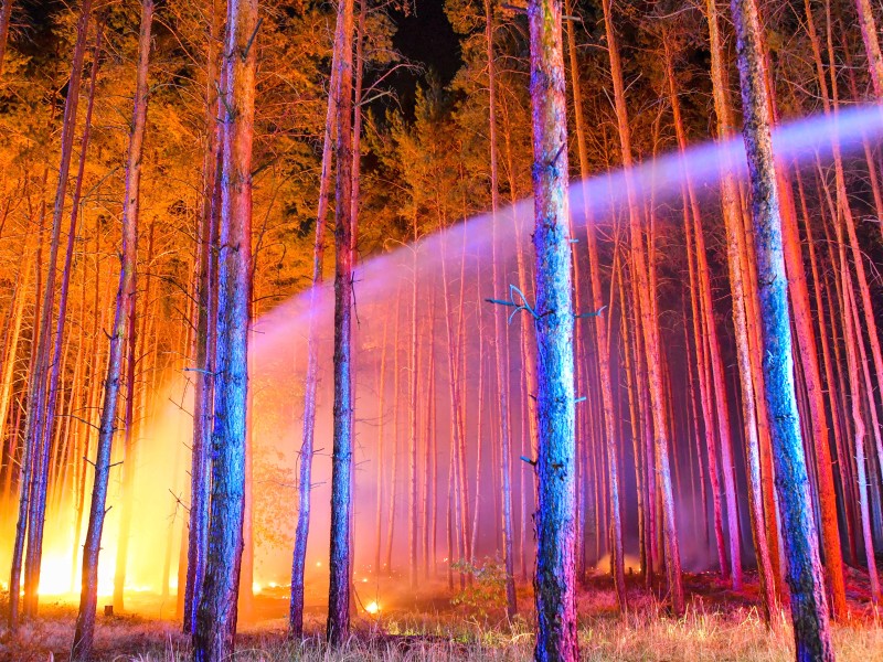 Rund 50 Kilometer entfernt von Berlin liegt der Brandherd. Donnerstagnacht mussten mehr als 500 Menschen aus betroffenen Ortschaften wie Frohnsdorf, Klausdorf und Tiefenbrunnen ihre Häuser verlassen.