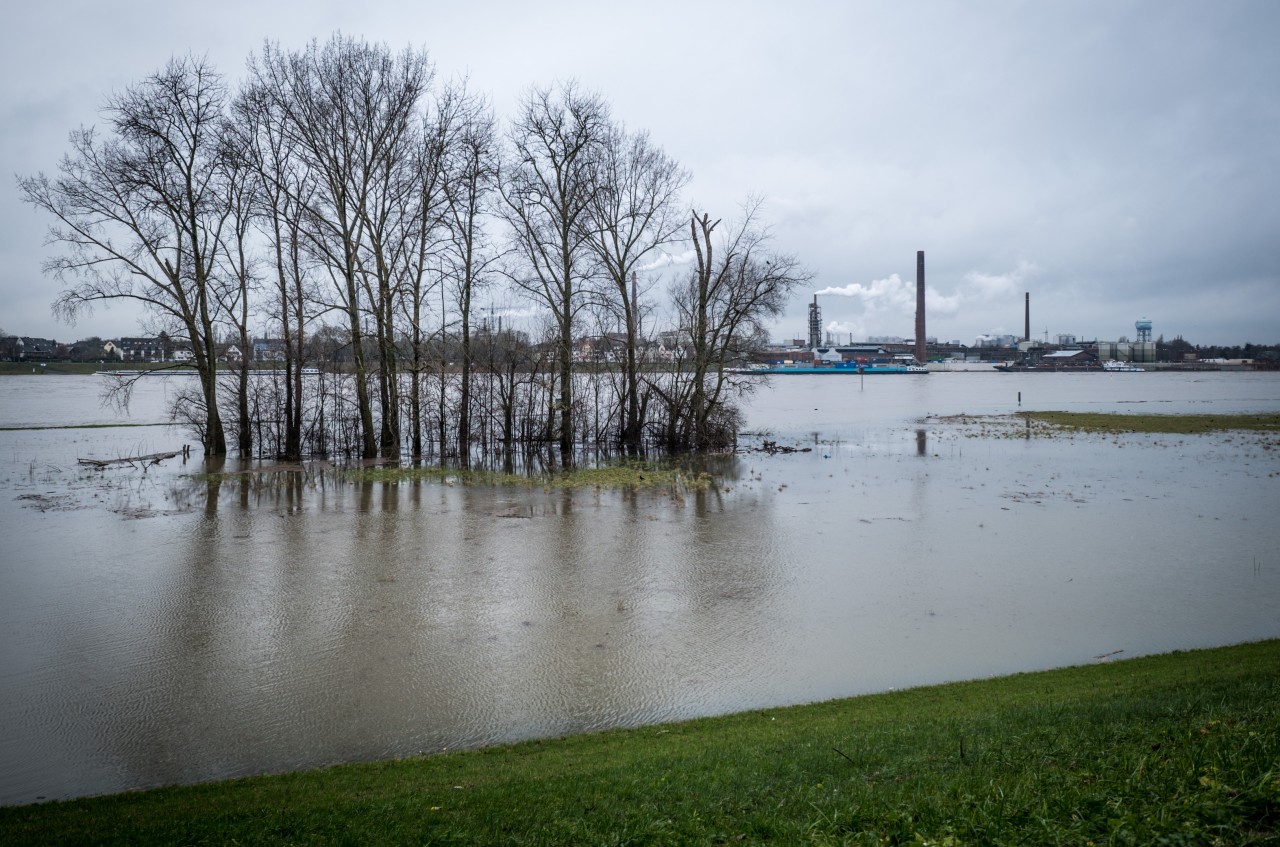 In Duisburg auf der Höhe der A40 Brücke ist der Rhein am 4. Januar 2018 über die Ufer getreten.