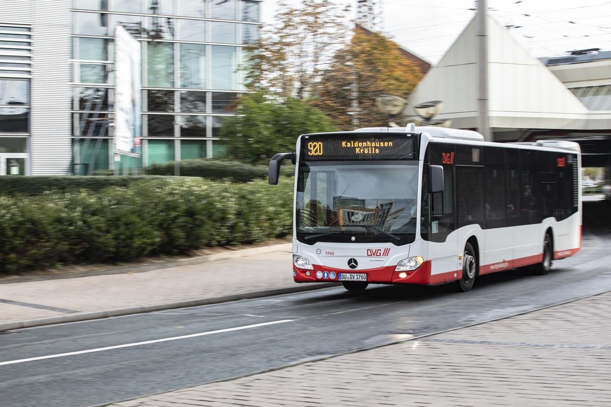 dvg-bus.jpg