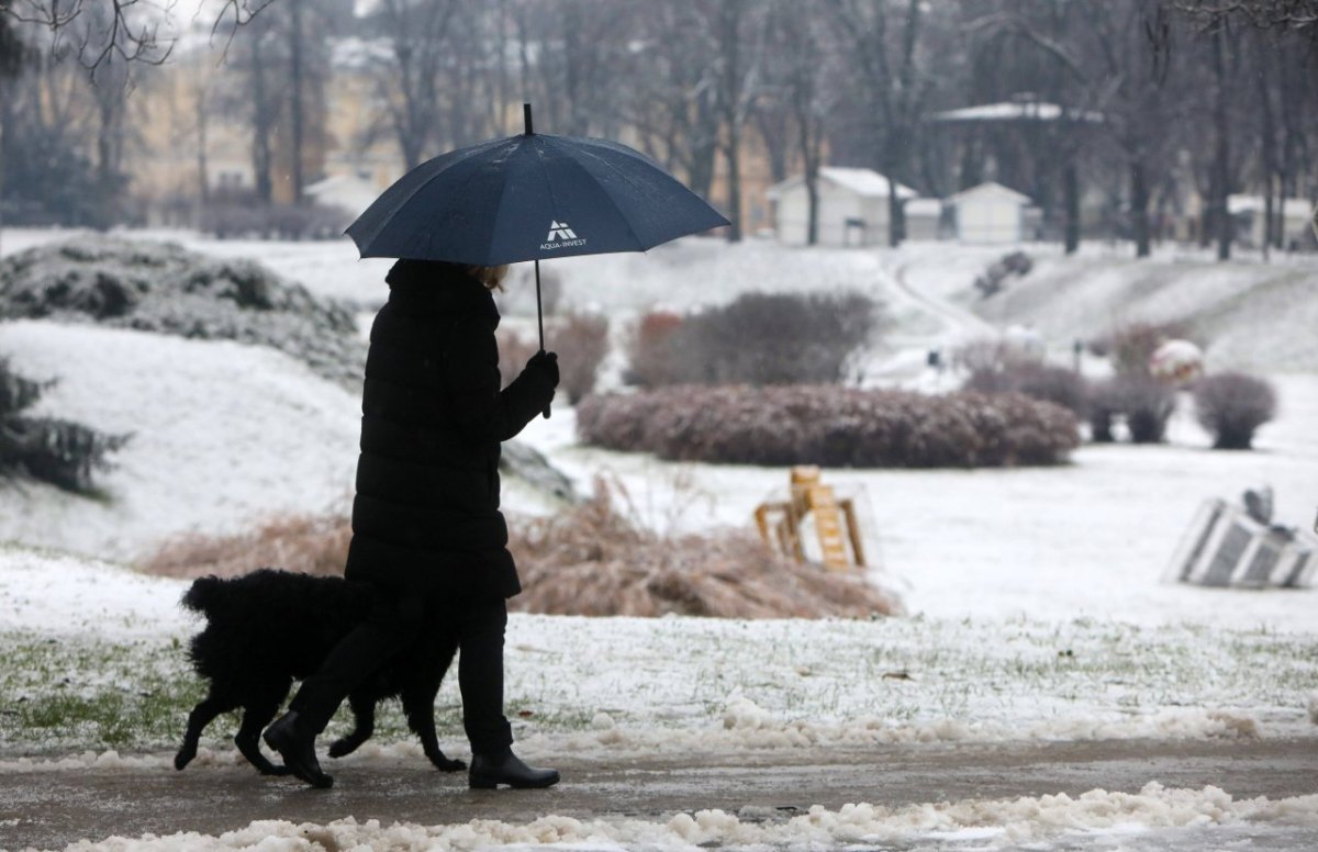 frau mit hund überfallen duisburg.jpg