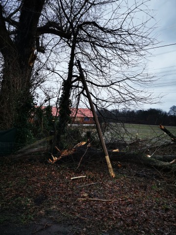 Gelsenkirchen: Bei dem Unwetter wurde eine Telefonleitung im Mitleidenschaft gezogen. 