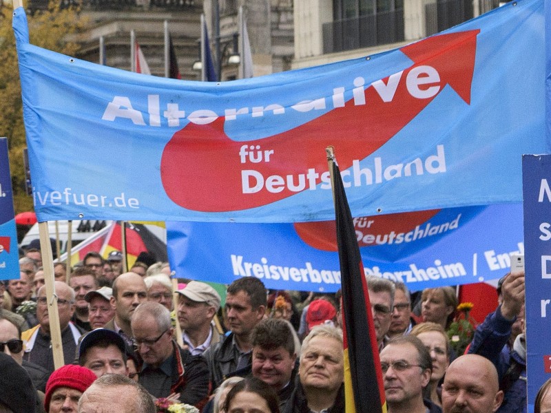 Die AfD hat rund 20.000 Mitglieder. Bei der Bundestagswahl holte die Partei 12,6 Prozent der Stimmen und stellt nun 94 Abgeordnete . Sie bildet damit die drittgrößte Fraktion im Parlament. 